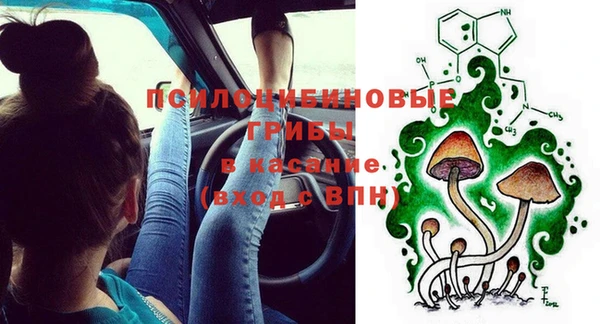 ГАЛЛЮЦИНОГЕННЫЕ ГРИБЫ Алзамай