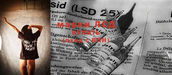 ГАЛЛЮЦИНОГЕННЫЕ ГРИБЫ Алзамай