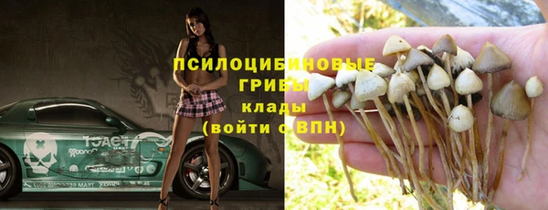 ГАЛЛЮЦИНОГЕННЫЕ ГРИБЫ Алзамай