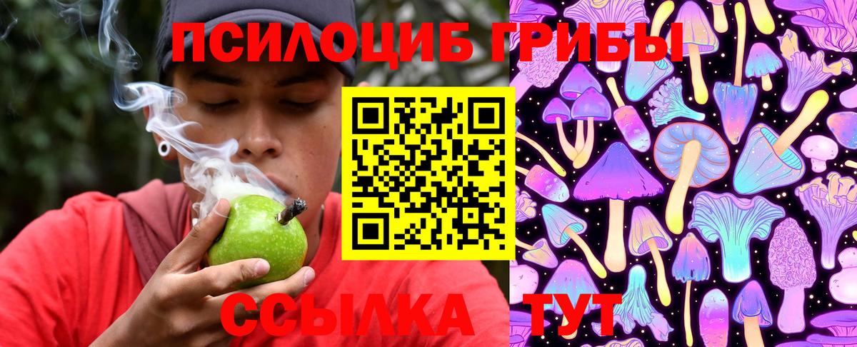 Североуральск  Галлюциногенные грибы мицелий  Галлюциногенные грибы мицелий  Вход с VPN 
