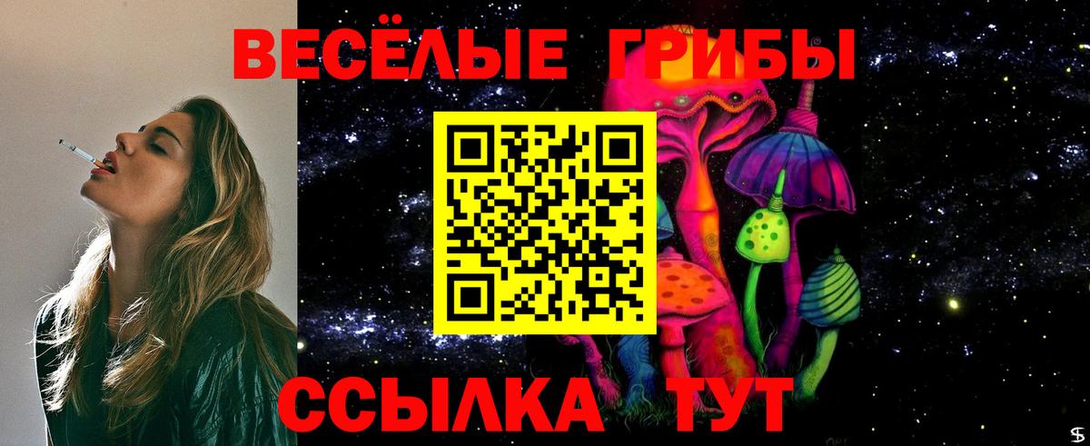 Галлюциногенные грибы GOLDEN TEACHER Североуральск