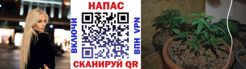 Канабис White Widow  наркота  Североуральск 